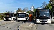 files/TRD-Reisen-Daten/Bildmaterial/Linienbus/TRD-Dresden-teaser_Linienbus_01.jpg